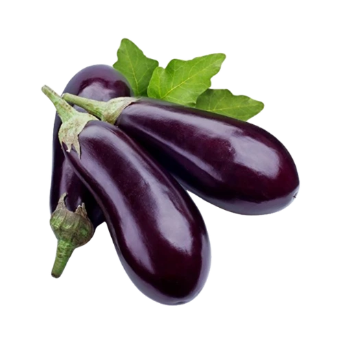 10 vegetables names that every vegetarian must try for healthy life 11 10 vegetables names