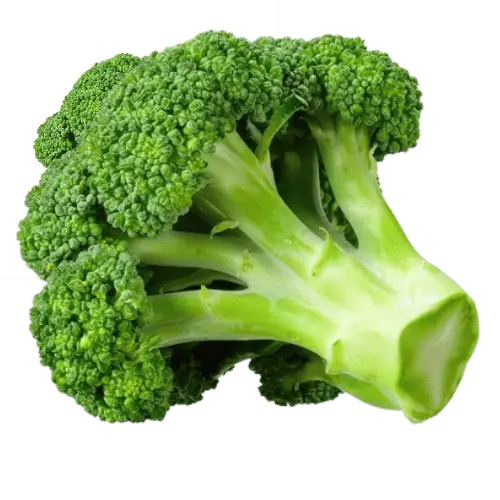 vegetables-name-hindi-vegetables-name-telugu-vegetables