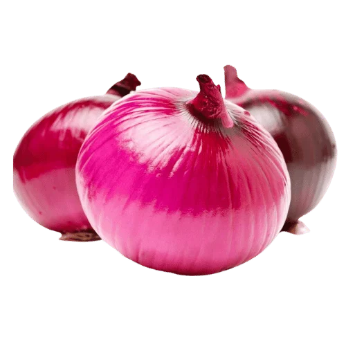 10 vegetables names that every vegetarian must try for healthy life 3 10 vegetables names