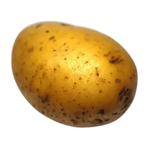 10 vegetables names that every vegetarian must try for healthy life 2 10 vegetables names