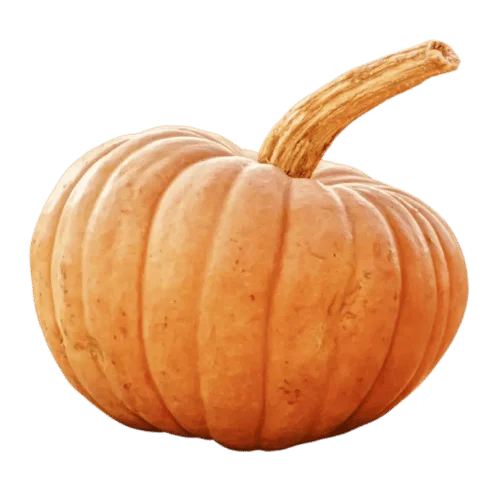 10 vegetables names that every vegetarian must try for healthy life 7 10 vegetables names