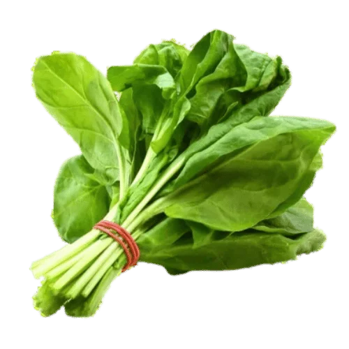 20 Chinese Vegetables Names You Should Know for Authentic Cooking 2 chinese vegetables names