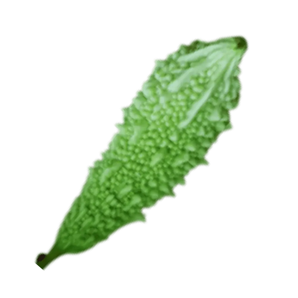 Ultimate Guide to 12 Seasonal Summer Vegetables That Supercharge Your Health 3 bitter gourd wp