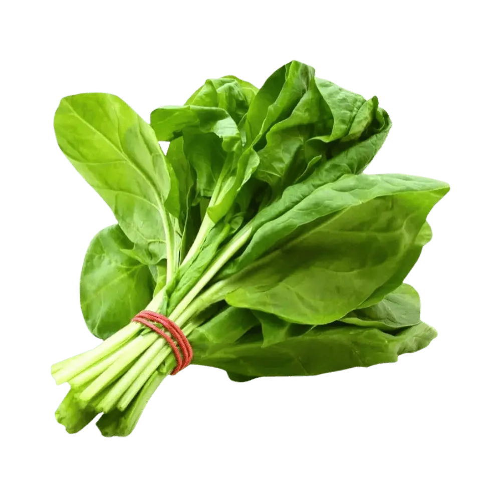 Ultimate Guide to 12 Seasonal Summer Vegetables That Supercharge Your Health 10 Spinach