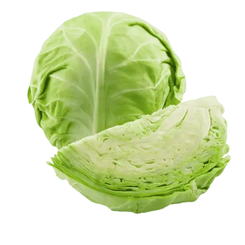 Discover These 15 Vegetable Names to Boost Your Daily Nutrition 16 15 Vegetable Names