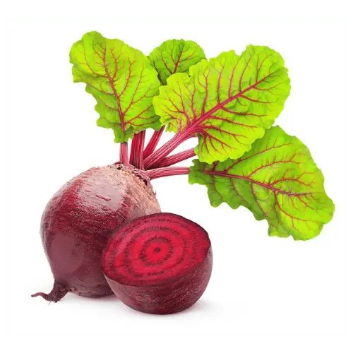 Discover These 15 Vegetable Names to Boost Your Daily Nutrition 6 15 Vegetable names