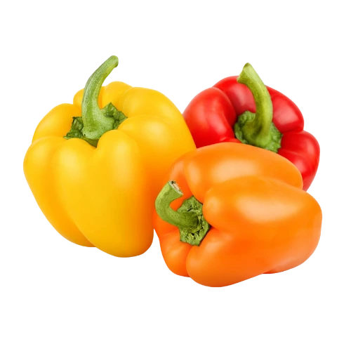 Discover These 15 Vegetable Names to Boost Your Daily Nutrition 9 15 vegetable names