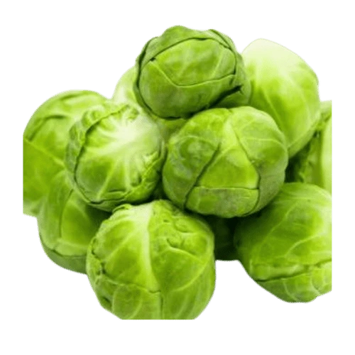 Discover These 15 Vegetable Names to Boost Your Daily Nutrition 8 15 vegetable names