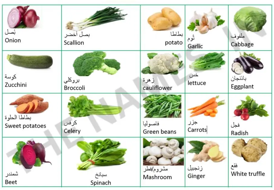 100+ Vegetables Name in Arabic You Should Know 2 Vegetables name in arabic
