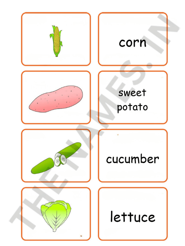 Flashcards for Vegetables: Amazing and Effective Way to Teach Kids Vegetable Names 4 3